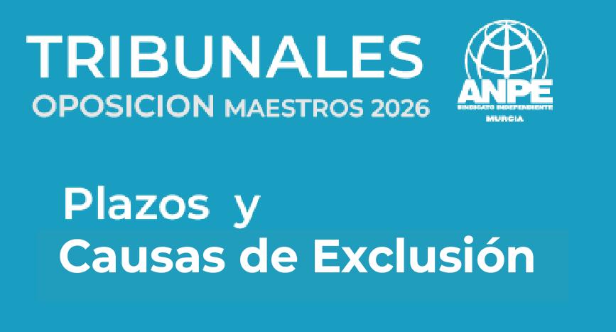 captura-de-pantalla-2026-05-06-085942